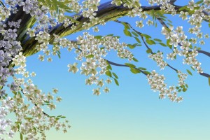 Новая весенняя коллекция